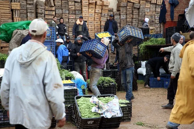 Morocco Experiences Unprecedented Abundance of Fruits and Vegetables in Wholesale Markets