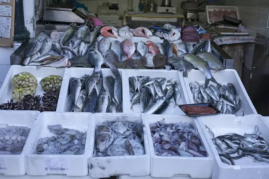 Ensuring Fish Safety in Marrakech: A Shared Responsibility