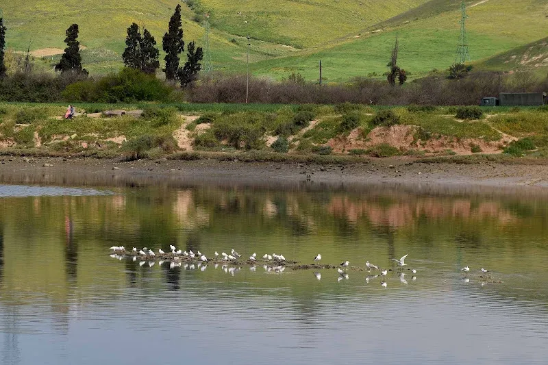 World Lakes Day: Reflecting on Morocco's Environmental Challenges