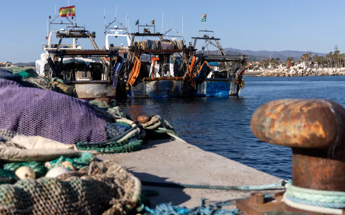 The Decline of the Spanish Fishing Fleet: A Growing Concern Amidst Rising Moroccan Imports