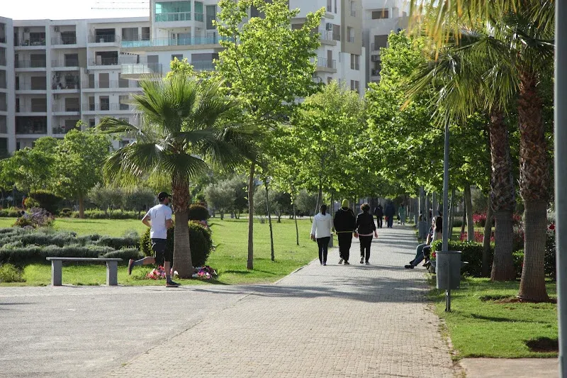 Forecasts Indicate Cooling Temperatures in Morocco