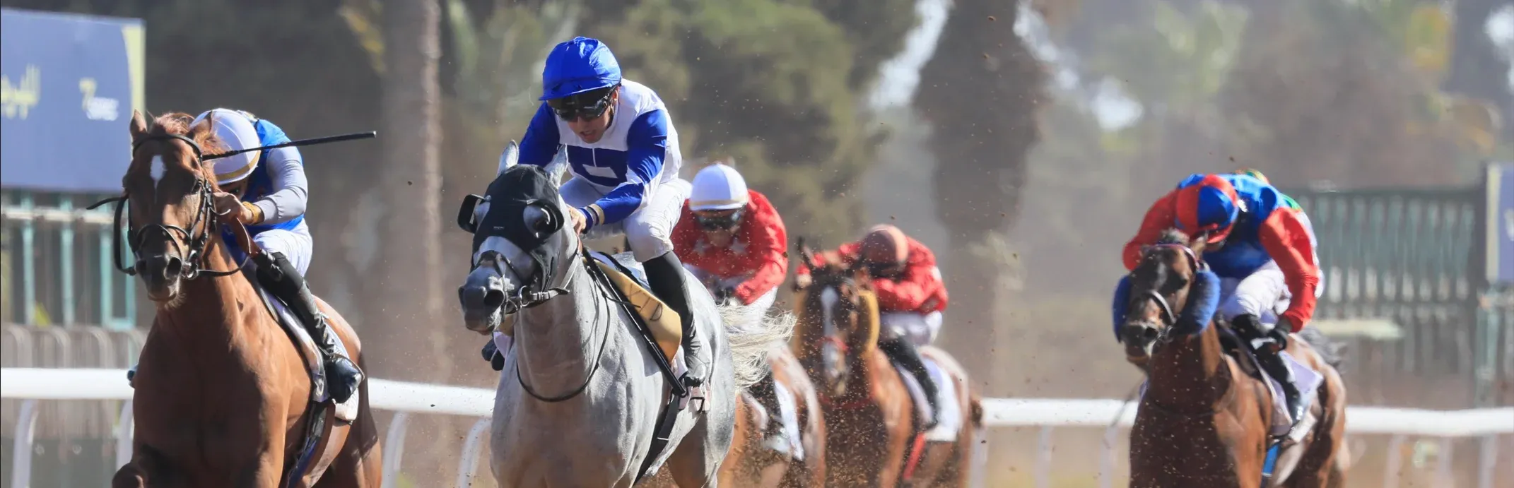Buraak Triumphs at the UAE Cup in Casablanca: A Celebration of Arabian Horse Racing