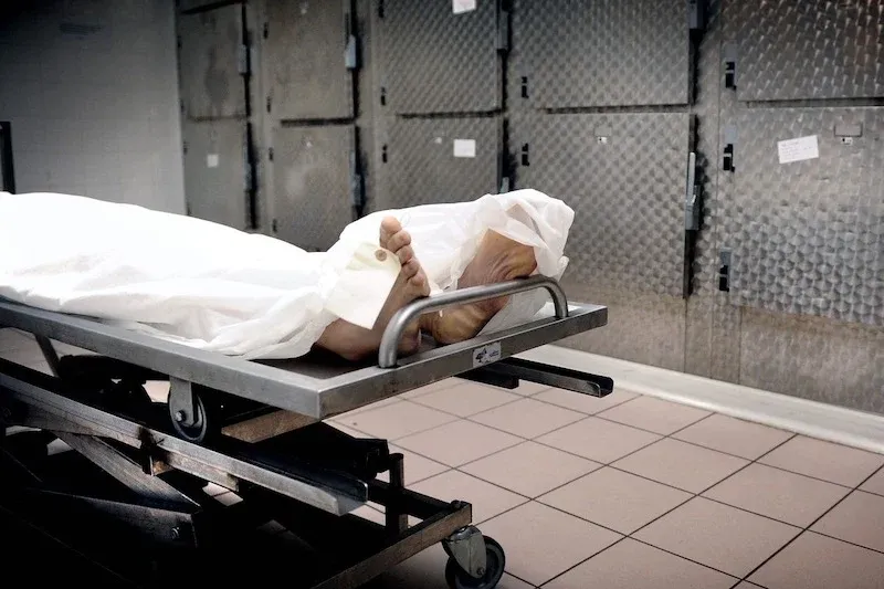 Marrakech's Mortuary Faces Overwhelming Demand with 729 Bodies in Just 5 Months