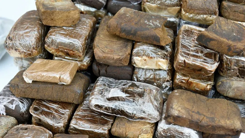 Major Drug Bust in Marrakech: Truck Driver Arrested with 80 kg of Hashish